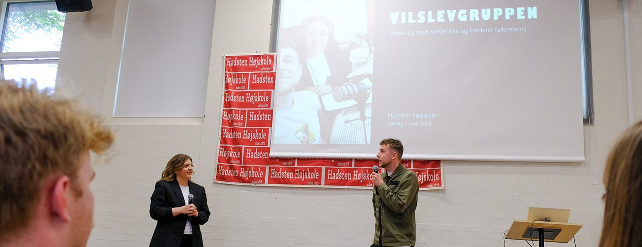 Vilslevgruppen Vilslevgruppen